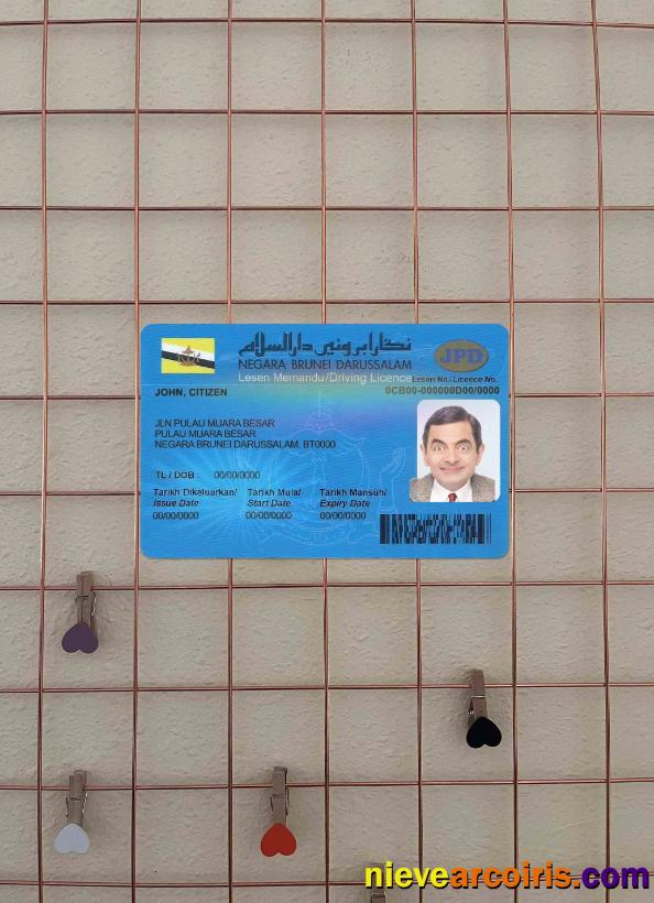 Brunei Driving License Photolook FRONT Template
