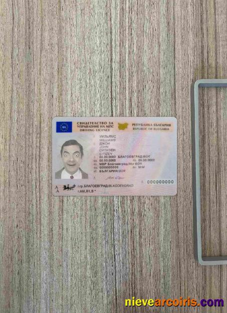 Bulgaria Driving License (2010 – Present) Photolook FRONT Photolook