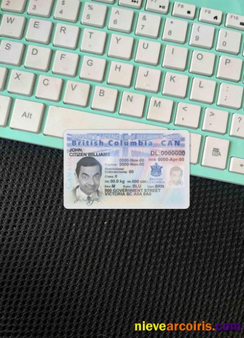 Canada Province British Columbia Driving License Photolook FRONT Preview