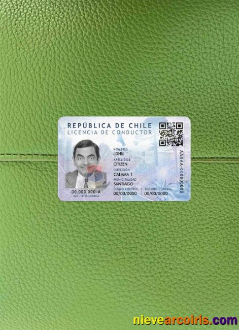 Chile Dl Psd Photolook FRONT Preview