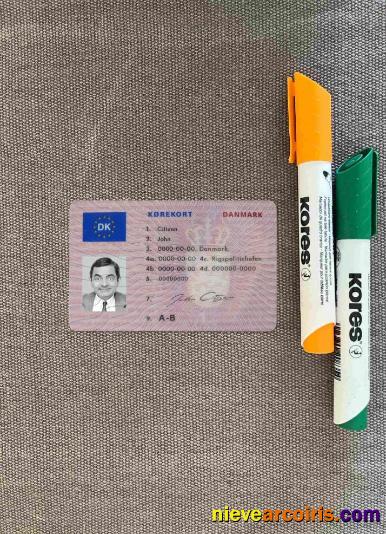 Denmark Driving License (1997 2013)photolook FRONT Template