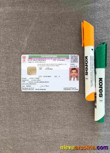 India Manipur State Driving License Photolook FRONT Sample