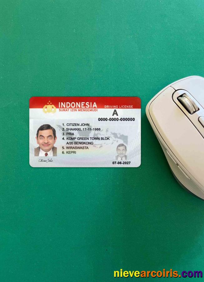 Indonesia Driving License (2019 – Present) Photolook FRONT Preview