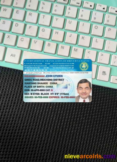 International Translation Of Drivers License Photolook FRONT Sample