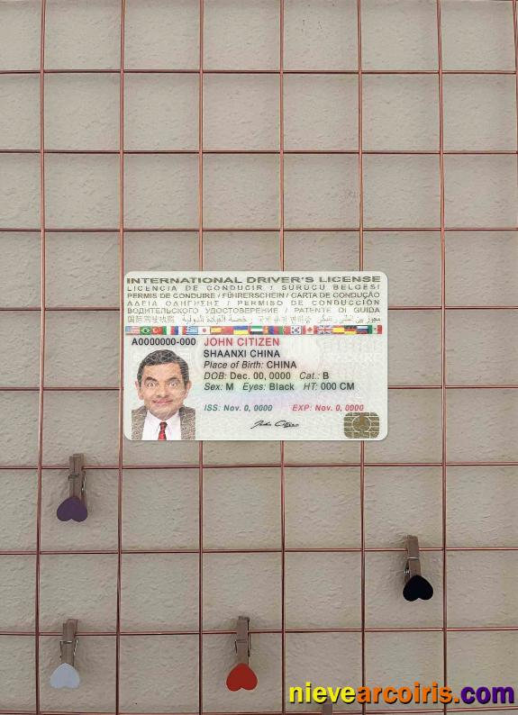 International Driver's License Photolook FRONT Preview