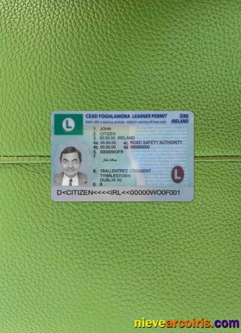 Ireland Driving License (learner Permit) 2022 Present Photolook FRONT Preview