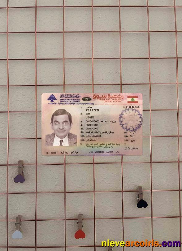 Lebanon Driving License Version 2 Photolook FRONT Sample