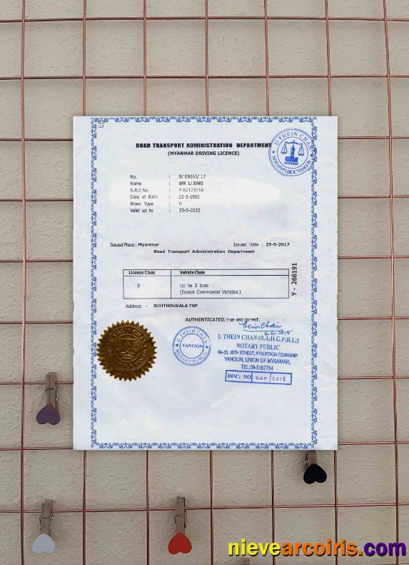 Myanmar Driving License FREE Photolook Template