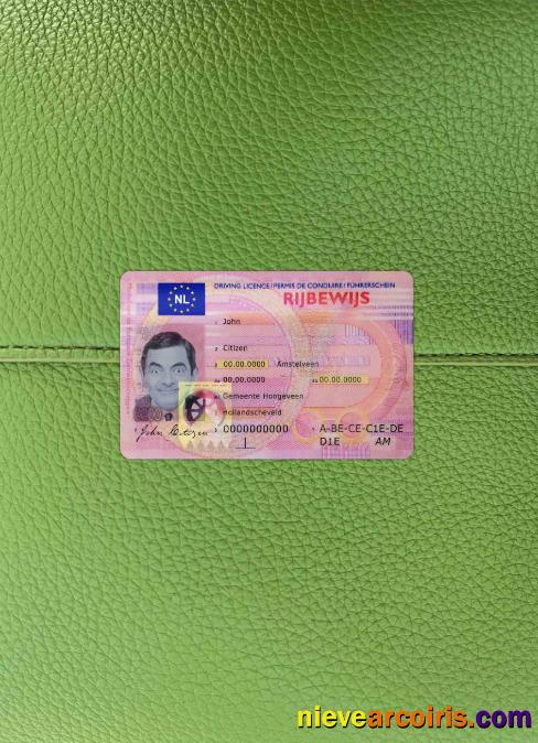 Netherlands Driving License Photolook FRONT Template