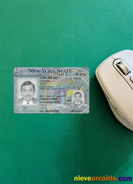 New York Driving License Version 2 Photolook FRONT Preview