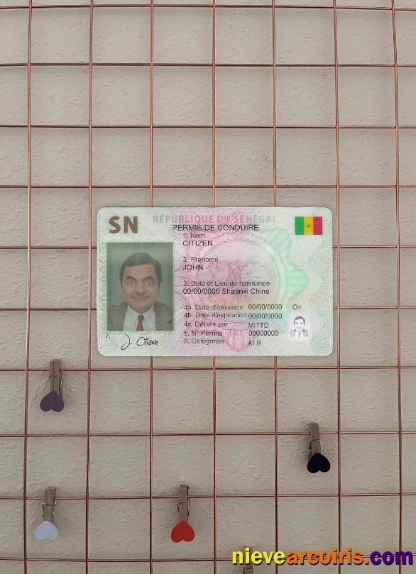 Senegal DL Photolook FRONT Photolook