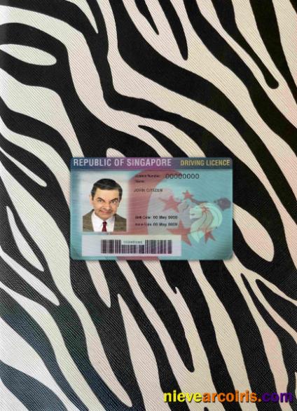 Singapore Driving License Photolook FRONT Template