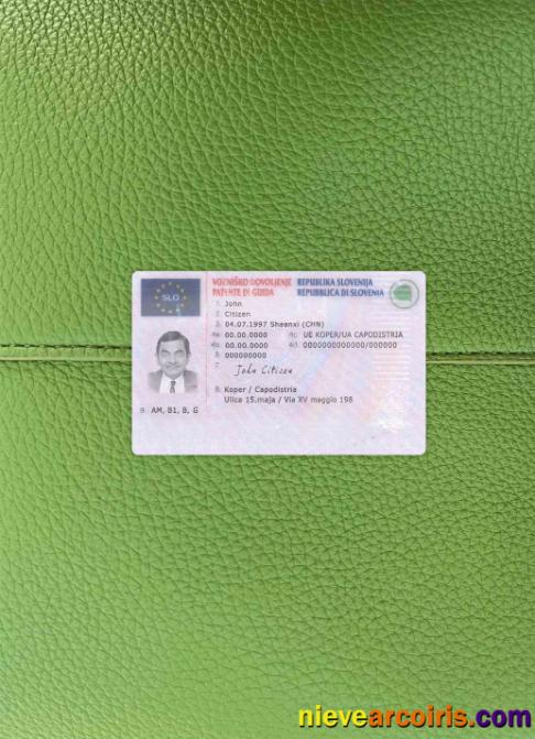 Slovenia Driving License Photolook FRONT Photolook