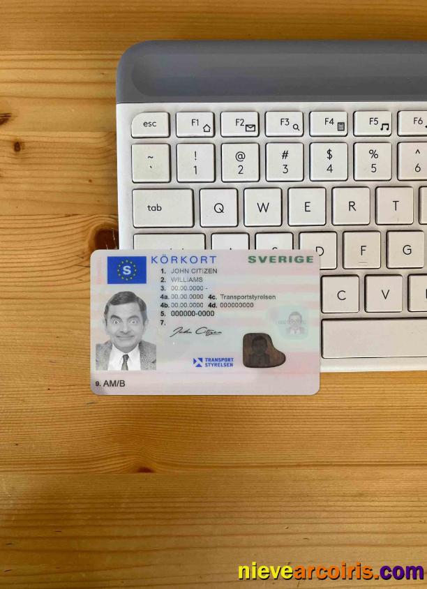 Sweden Driving Licence (2016 Present) Photolook FRONT Preview