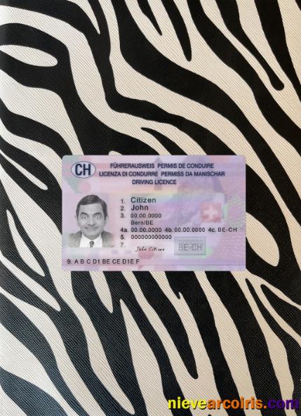 Switzerland Driving License 2023 Present Photolook Front Preview