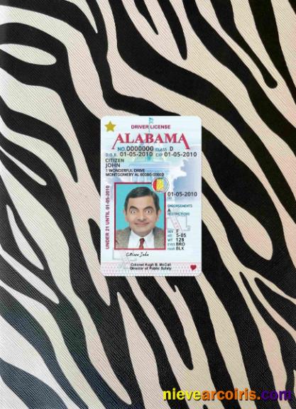 USA Alabama Driving License Under 21 Photolook FRONT Template