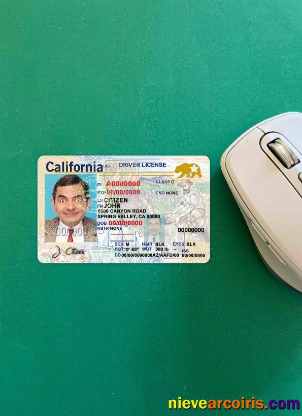USA California DL (2018, January – Present) Photolook FRONT Photolook
