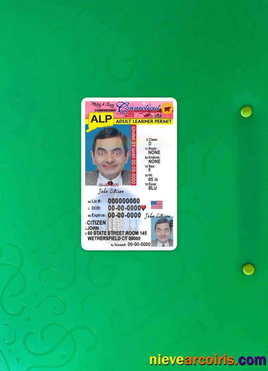 USA Connecticut Driving License Under 21 Photolook FRONT Preview