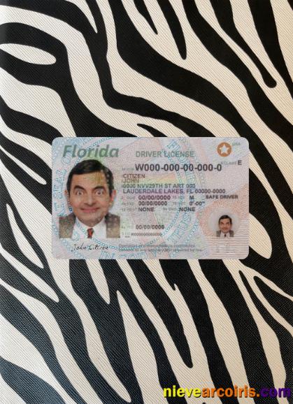 USA Florida Driving License 2018 Present Photolook Front Preview