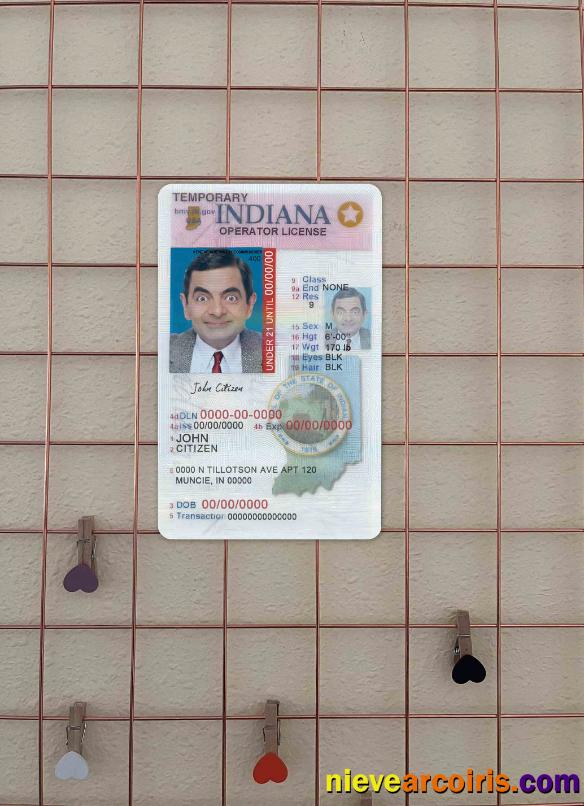 USA Indiana Driving (operator) License Under 21 Photolook FRONT Template