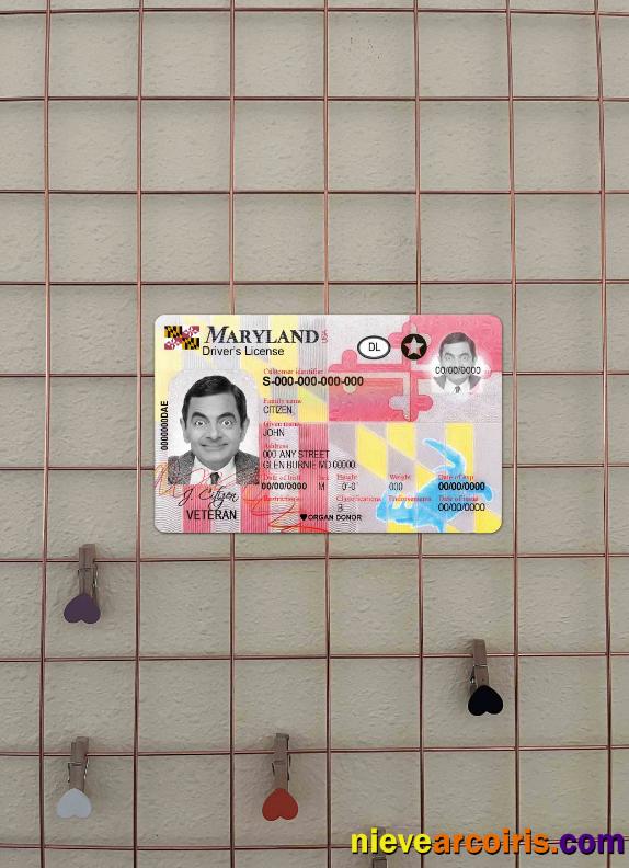 USA Maryland DL 2016 Present Photolook FRONT Preview