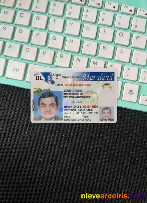 USA Maryland Driving License 2003 2016 Photolook FRONT Preview