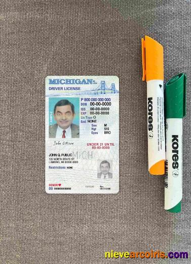 USA Michigan Driving License Under 21 Photolook FRONT Preview