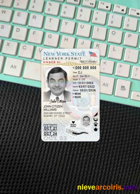USA New York Driving License Under 21 (version 2) Photolook FRONT Preview