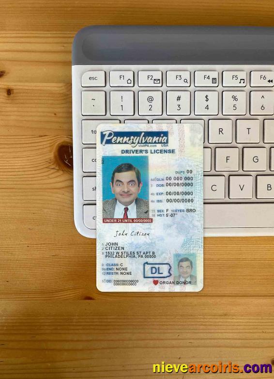 USA Pennsylvania Driving License Under 21 21 Photolook FRONT Template