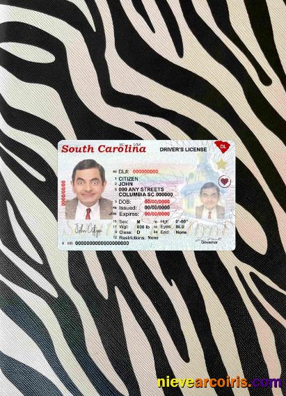 USA South Carolina State Driving(2020 – Present) Photolook FRONT Sample