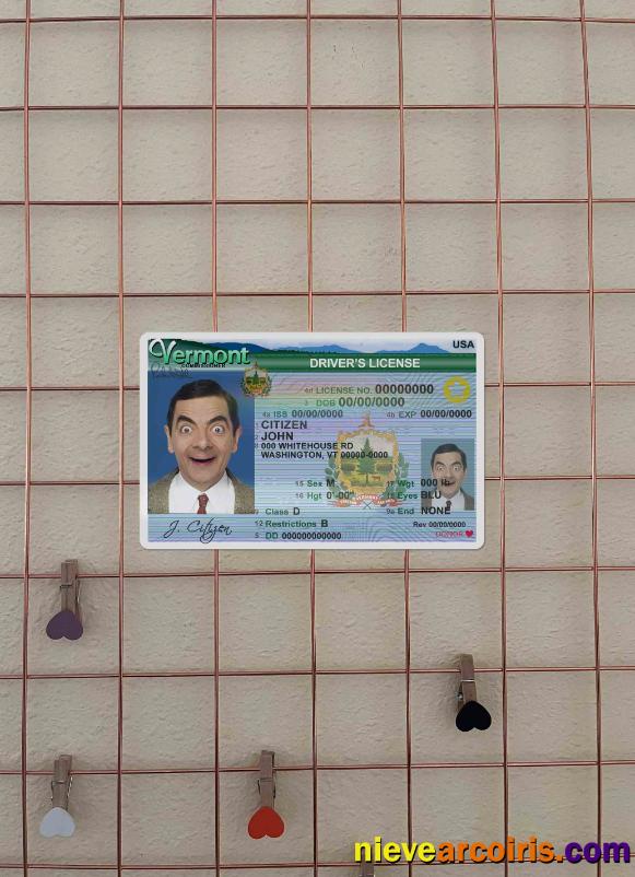 USA Vermont DL (2004 2019) Photolook FRONT Sample