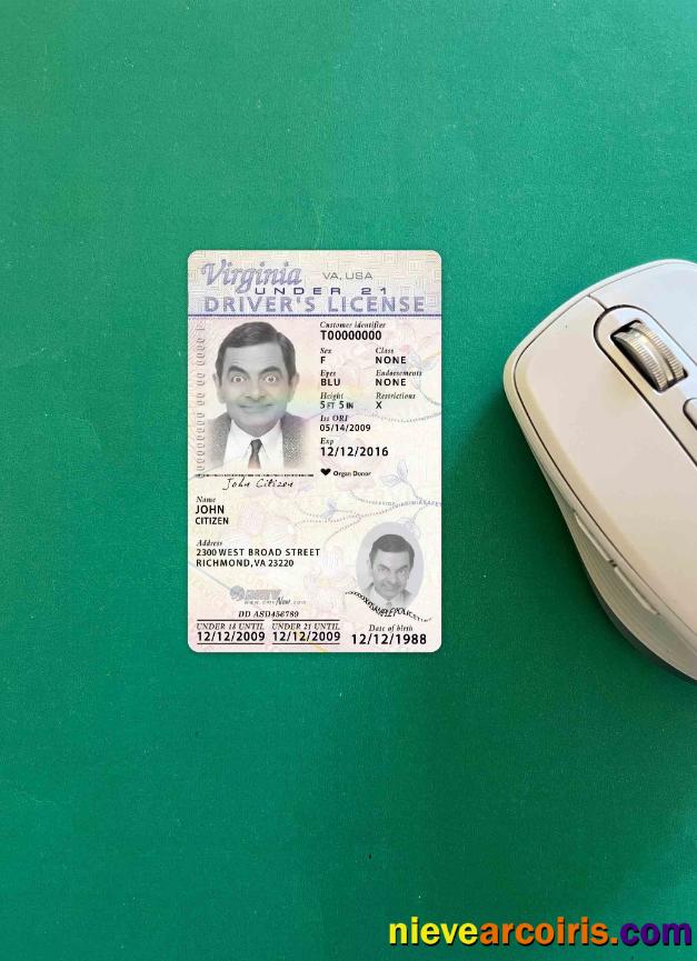 USA Virginia Driving License Under 21 2009 Present Photolook FRONT Photolook