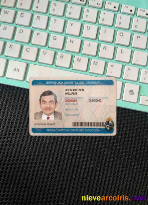 Uruguay Driving License Photolook FRONT Sample