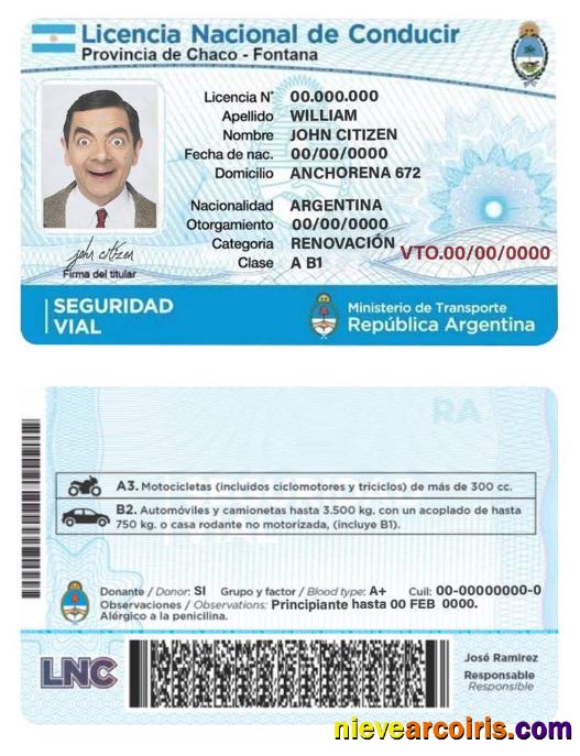 Argentina Driving License Preview