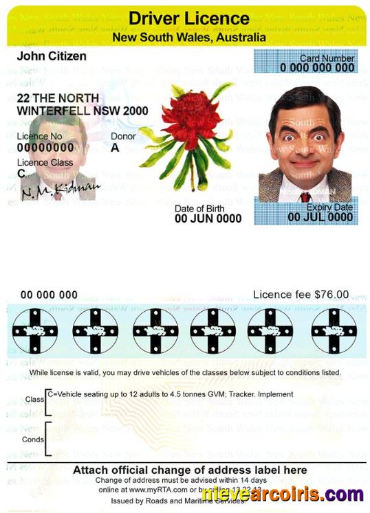 Australia New South Wales Driver License Template