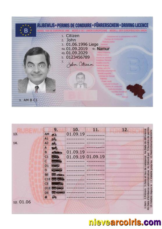Belgium Driving License 2019 Present Template