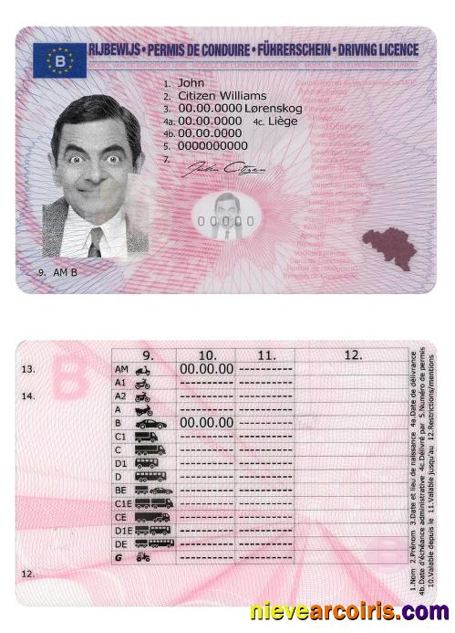 Editable Belgium Driving License PSD Template,version2