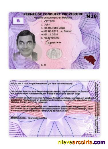 Belgium Provisional Driving License Preview
