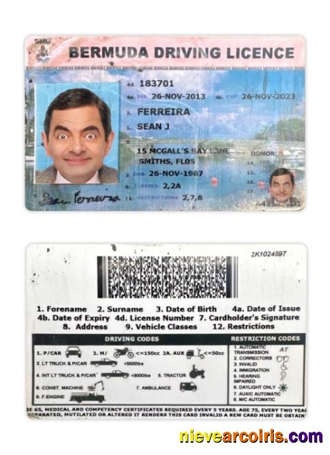Bermuda Driving License Sample