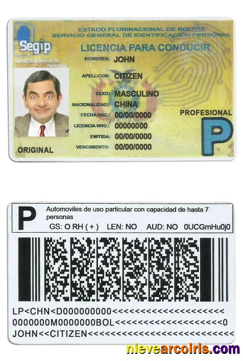 Bolivia Driving License Sample