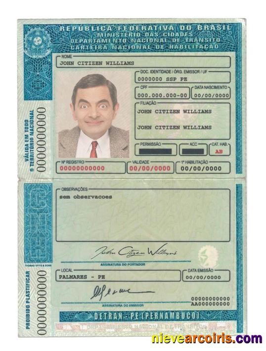 Brazil (Detran Pe, Pernambuco) Driving License Template