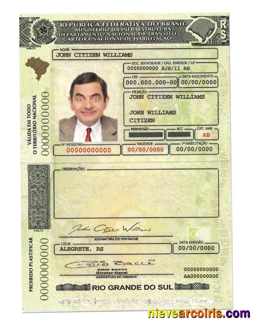 Brazil(RioGrandedoSul)driving License Sample