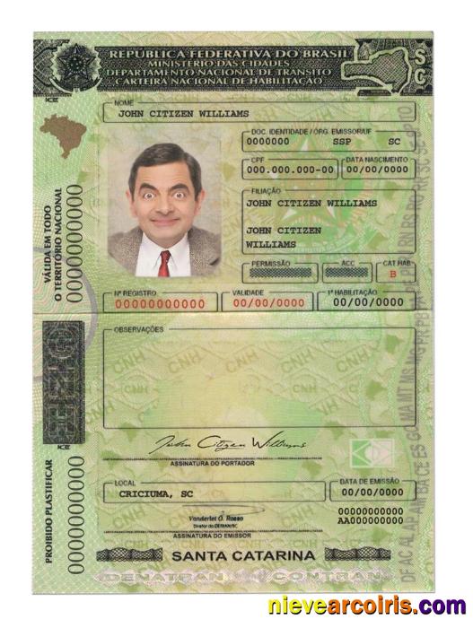 Brazil(SantaCatarina)driving License Template