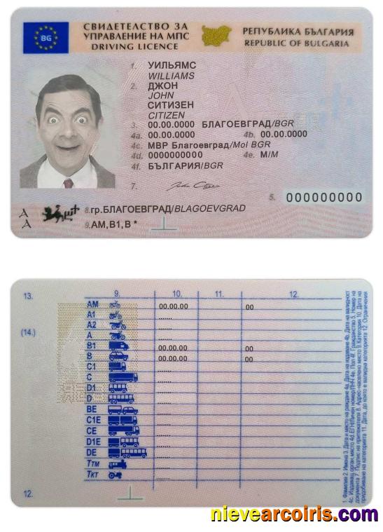 Professional Bulgaria Driving License Template In PSD Format,fully Editable(2010present)