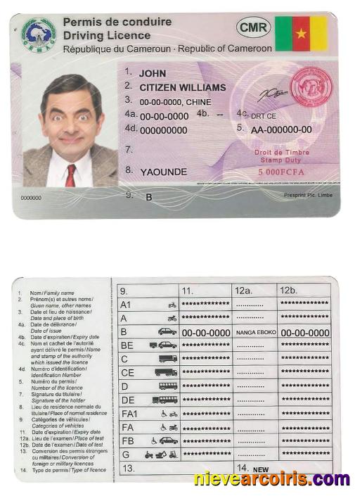 Cameroon Driving License Template