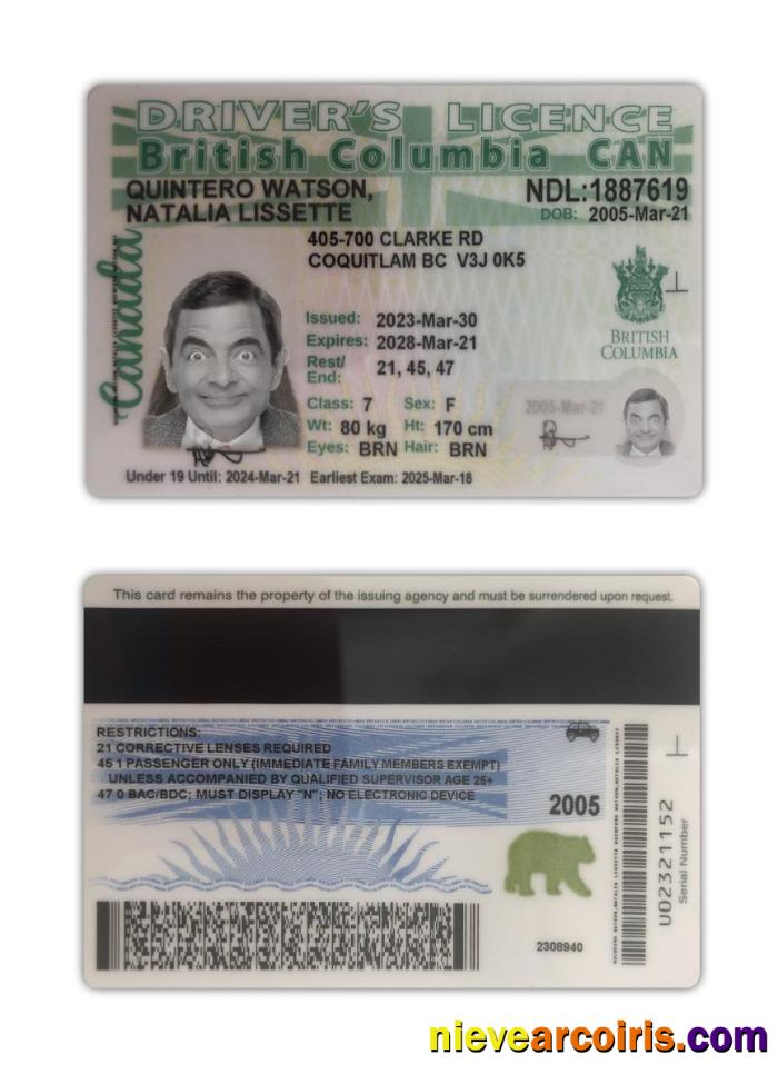 Canada British Columbia Driving License 2021 Present Preview