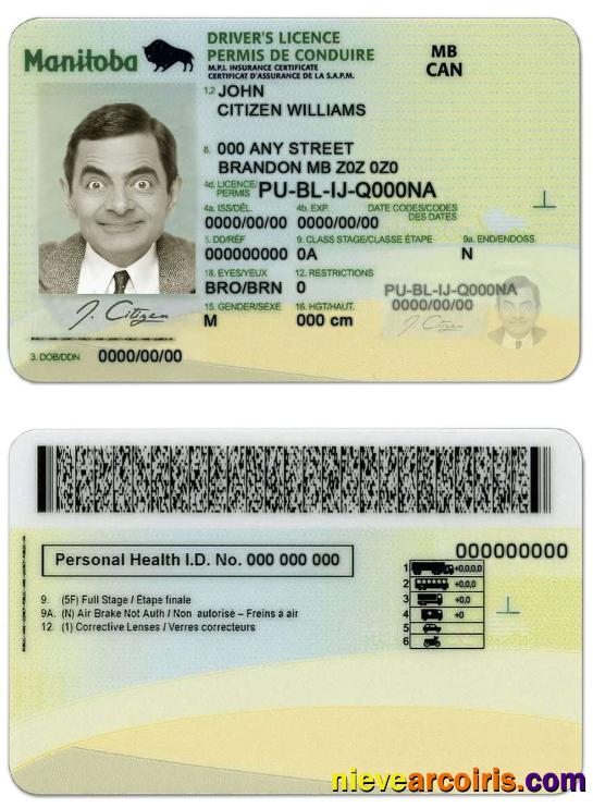Canada Manitoba Province Driving License Template