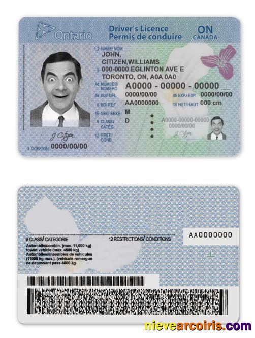 Realistic Canada Ontario Driving License Template In PSD Format(2018present)