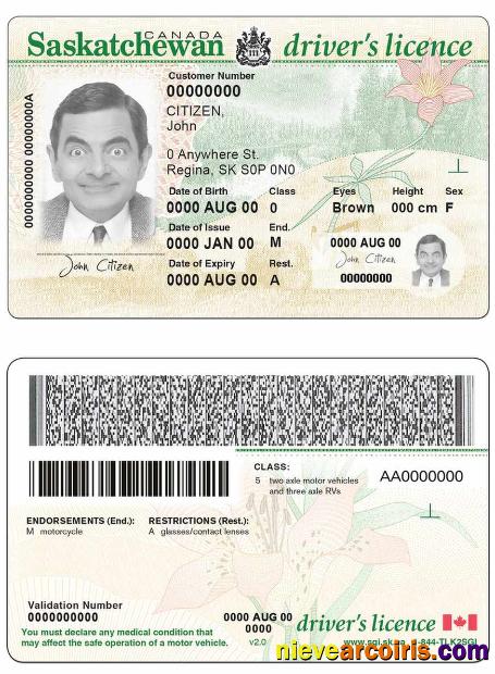 Canada Province Saskatchewan Driving License Preview