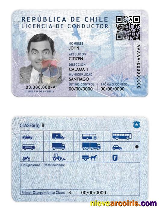 Chile Driving License Photolook